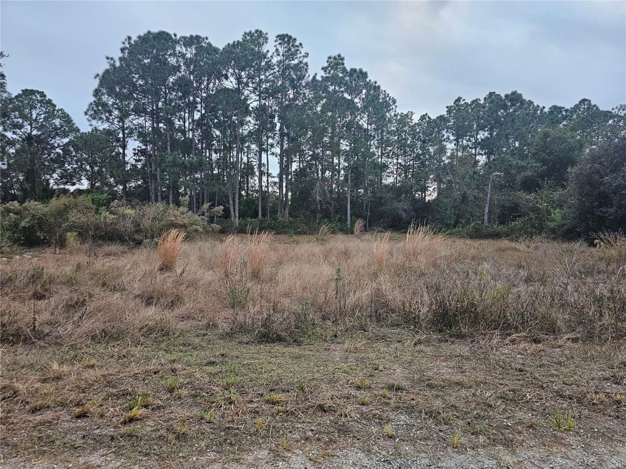 3348 Dorado Avenue, Lake Placid, FL 33852 Photo