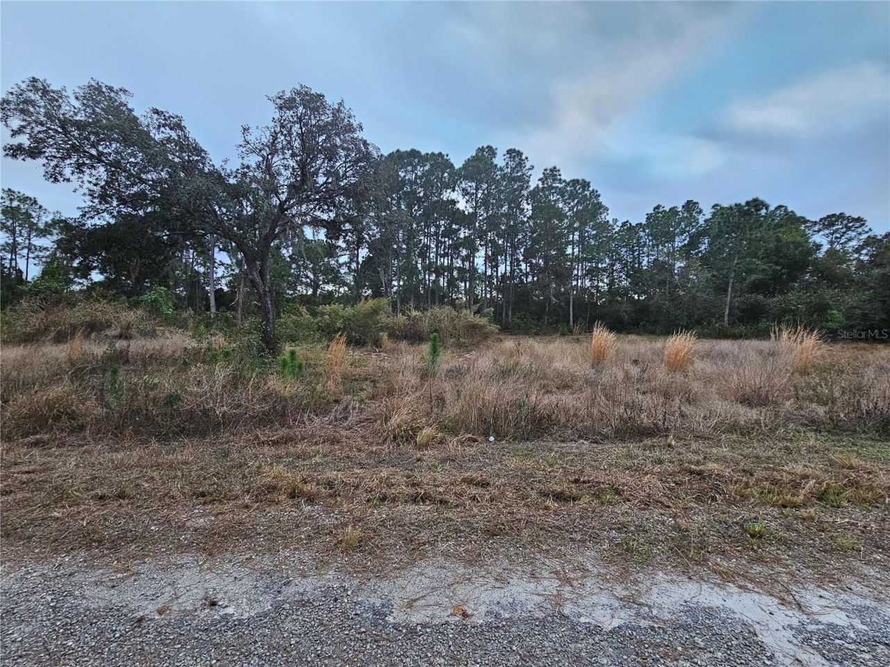 3348 Dorado Avenue, Lake Placid, FL 33852 Photo