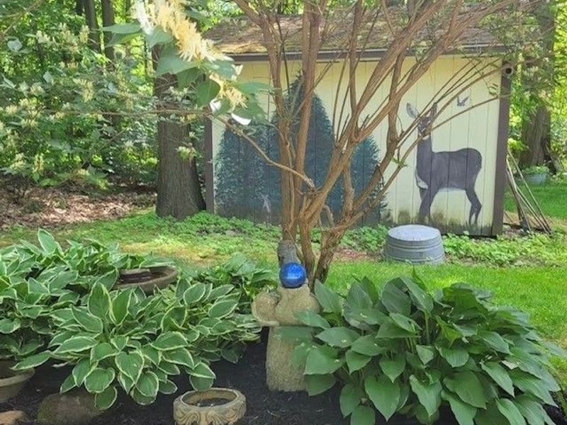 15899 Mccallum Drive, Doylestown, OH 44230 Photo 46