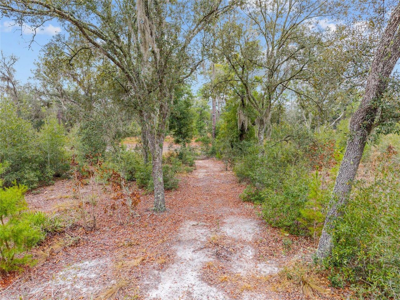 Ne 131 Place, Archer, FL 32618 Photo