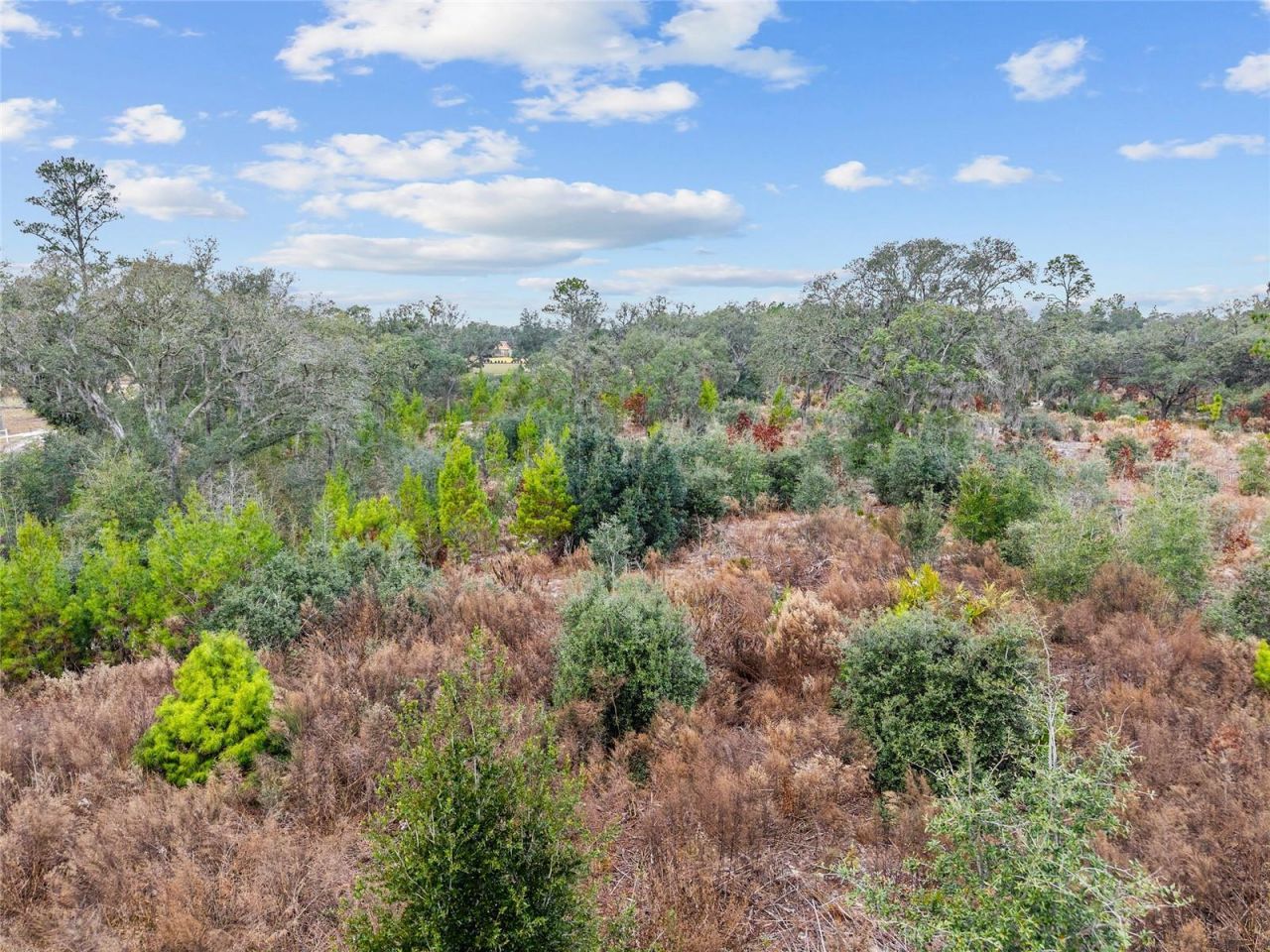 Ne 131 Place, Archer, FL 32618 Photo