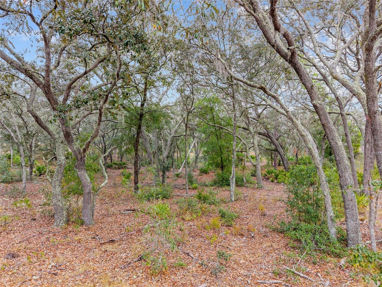 Ne 131 Place, Archer, FL 32618 Photo