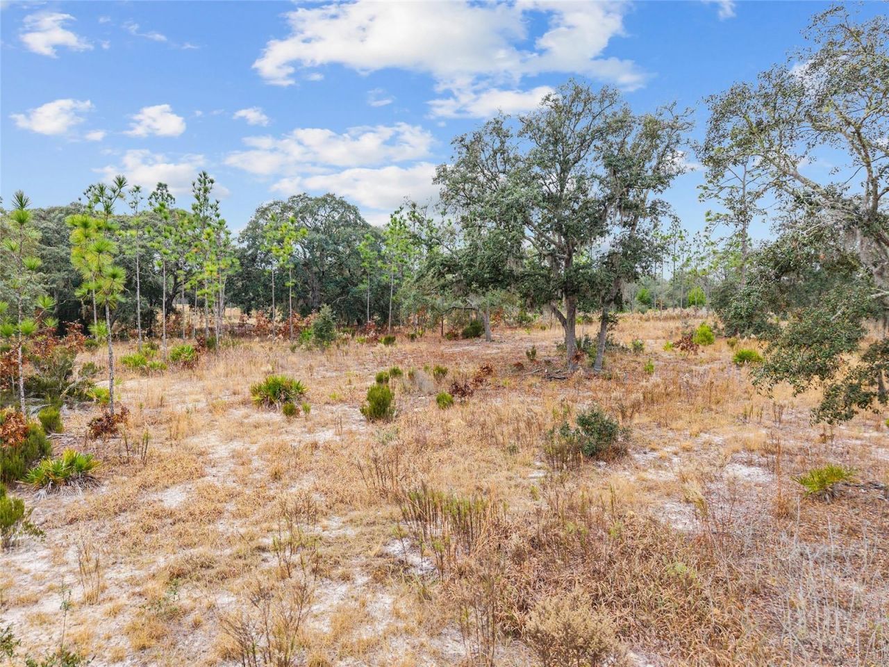 Ne 131 Place, Archer, FL 32618 Photo