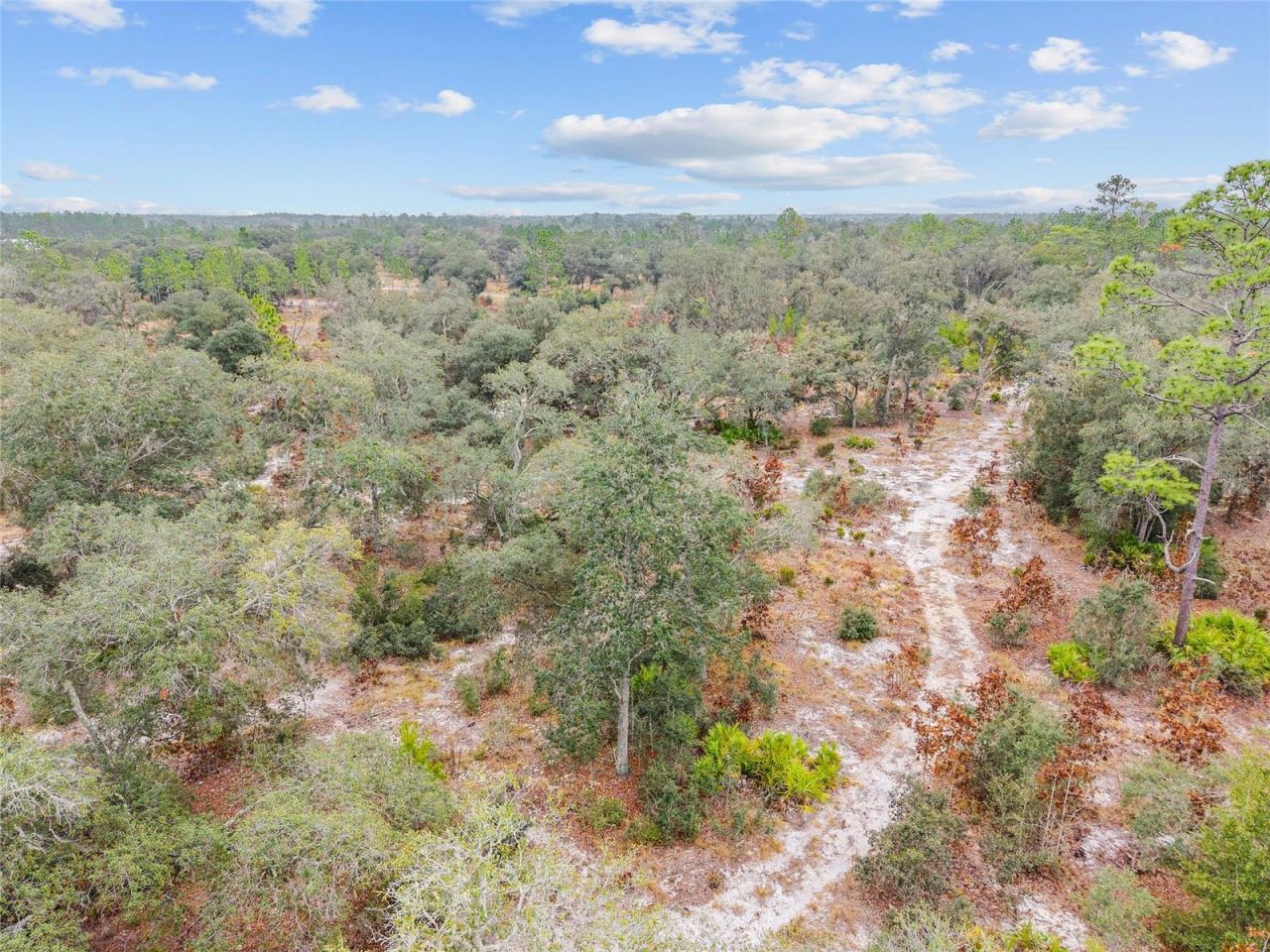 Ne 131 Place, Archer, FL 32618 Photo