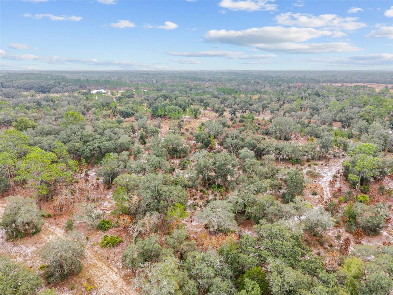 Ne 131 Place, Archer, FL 32618 Photo