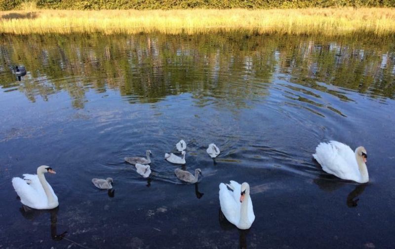 160 NW 166th Avenue, Pembroke Pines, FL 33028 Photo