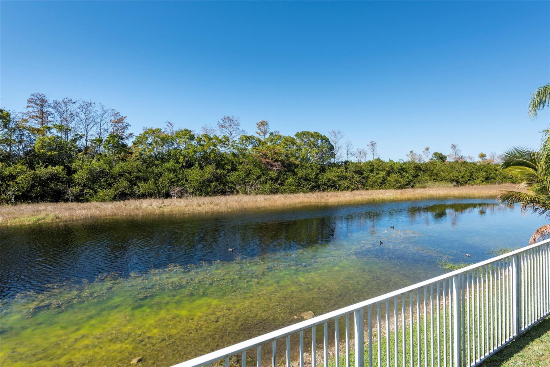 160 NW 166th Avenue, Pembroke Pines, FL 33028 Photo