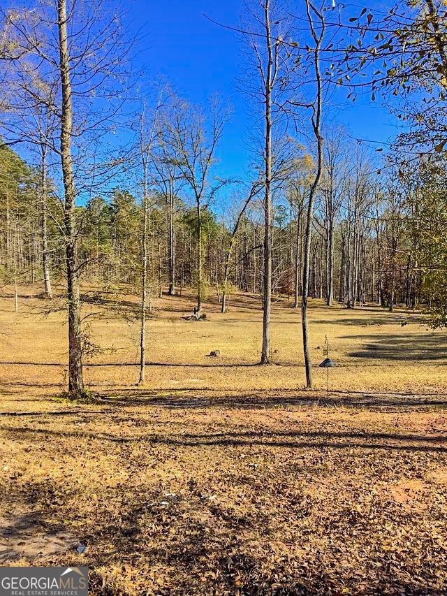 262 Nelms Road, Fayetteville, GA 30215 Main Photo