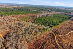 Tbd Highway 34 photo 4