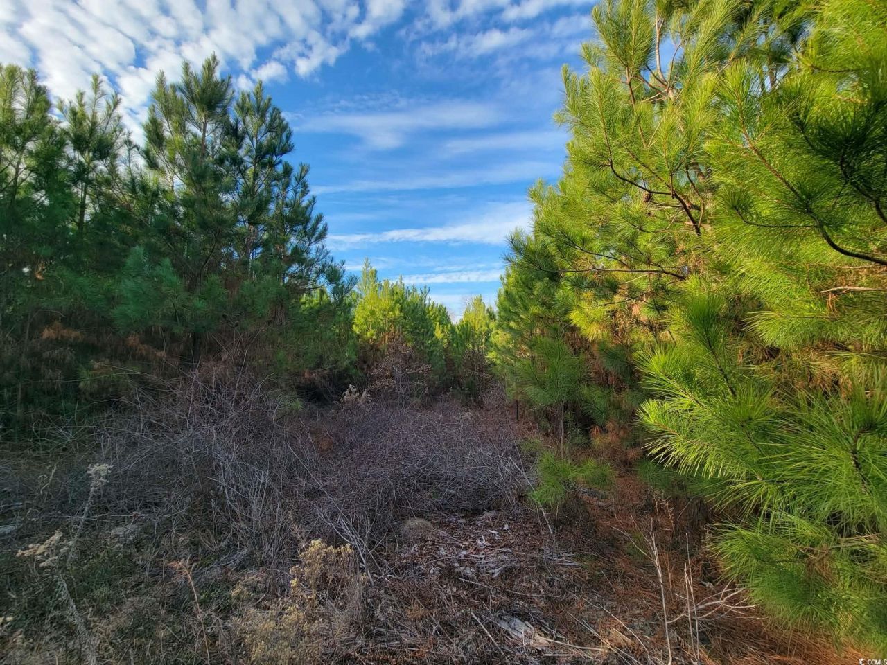 Tbd Highway 34 Photo 29
