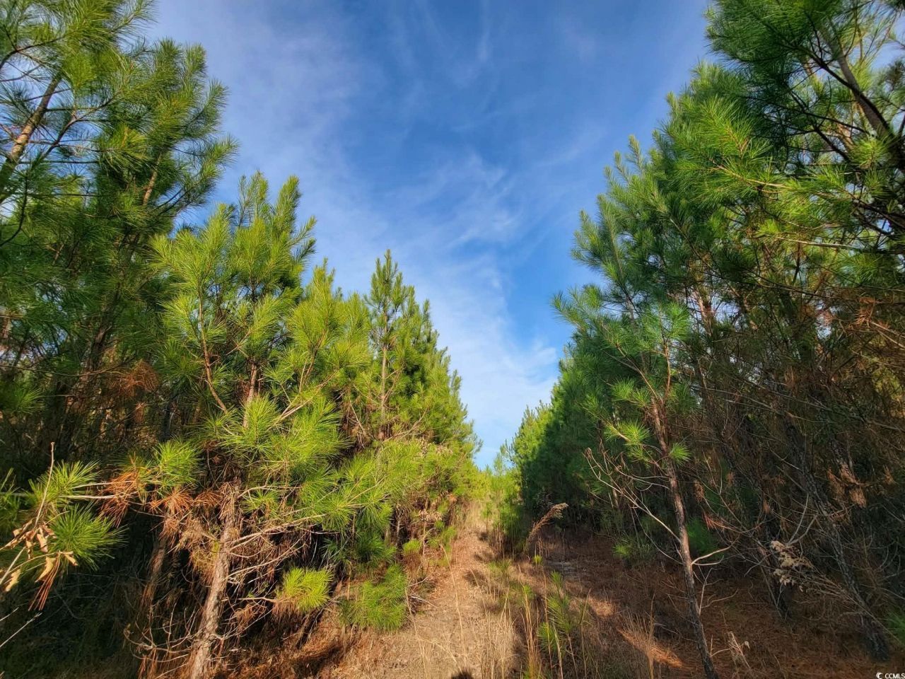 Tbd Highway 34 Photo 32