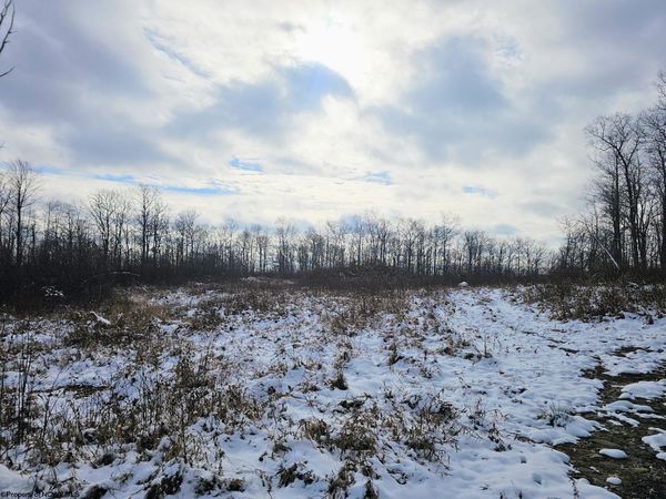 TBD Veterans Memorial Highway, Kingwood, WV 26537