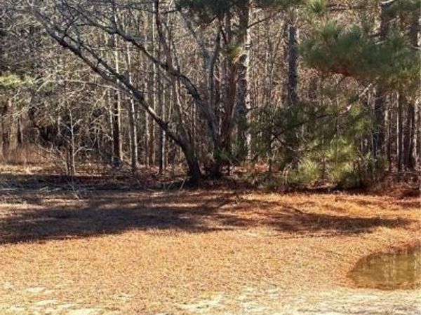 Love Grove Church Road, Sanford, NC 27332