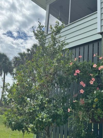 9715 Two Pines Road Photo 12