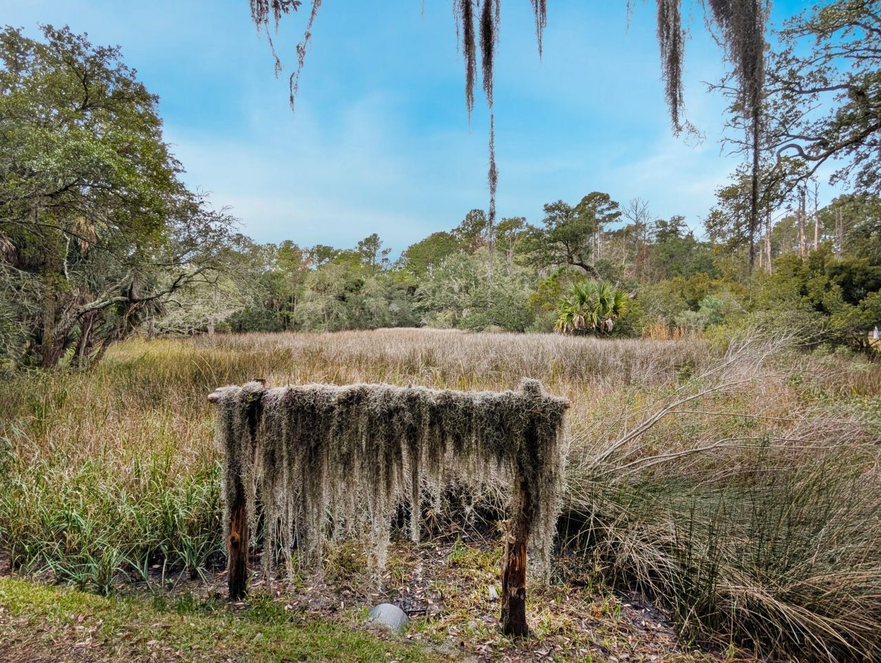 9715 Two Pines Road Photo 38