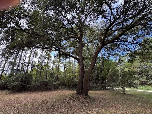 9715 Two Pines Road Photo 49