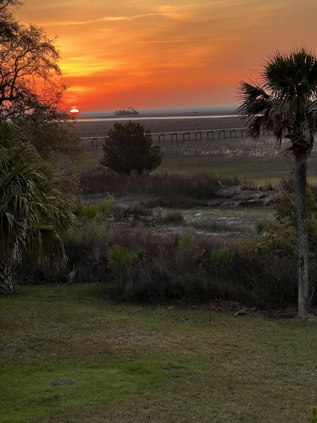 9715 Two Pines Road Photo 52