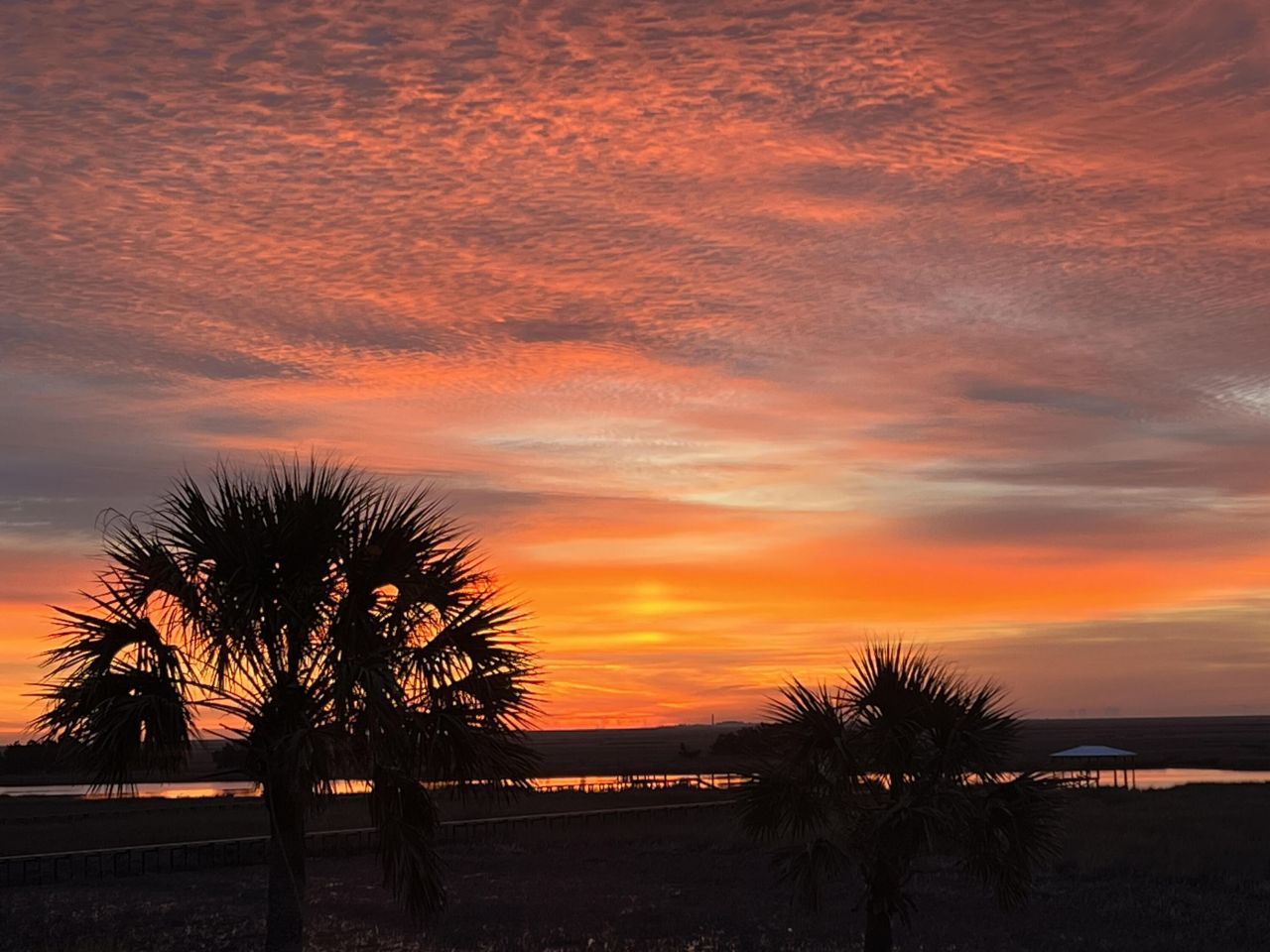 9715 Two Pines Road Photo 53