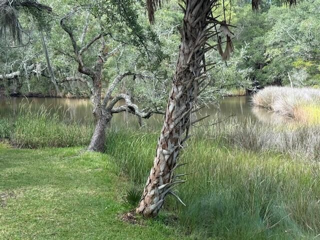 9715 Two Pines Road Photo 8