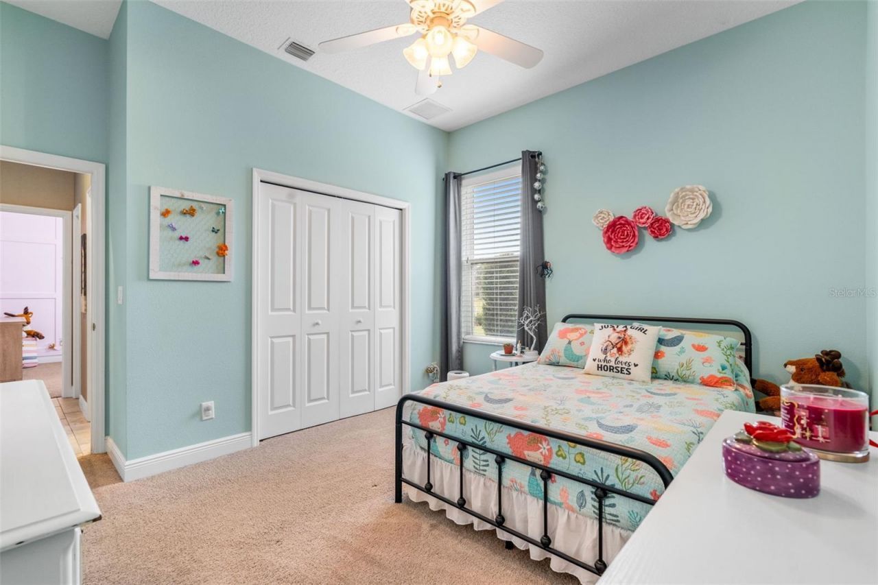 6618 Emma Jane Lane, Plant City, FL 33565 Photo