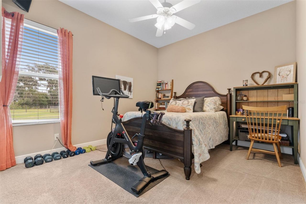 6618 Emma Jane Lane, Plant City, FL 33565 Photo