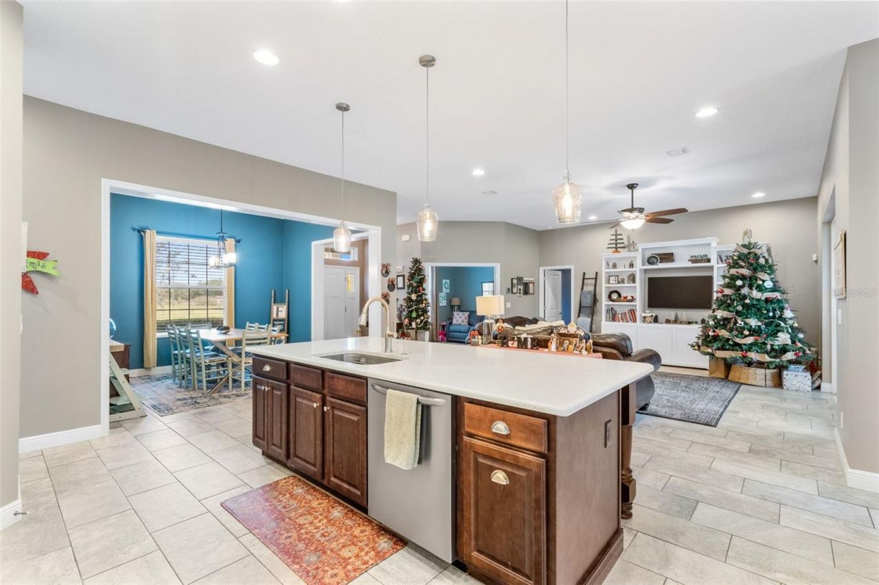 6618 Emma Jane Lane, Plant City, FL 33565 Photo