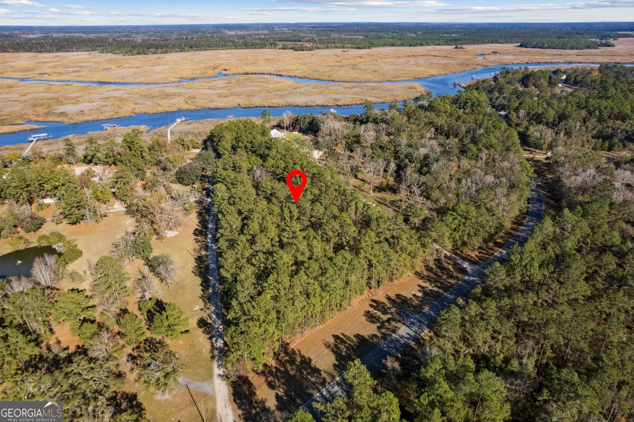 0 Oscar Road, White Oak, GA 31568 Main Photo