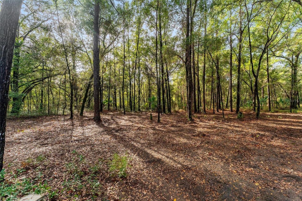 1520 W Redding St, Hernando, FL 34442 Photo