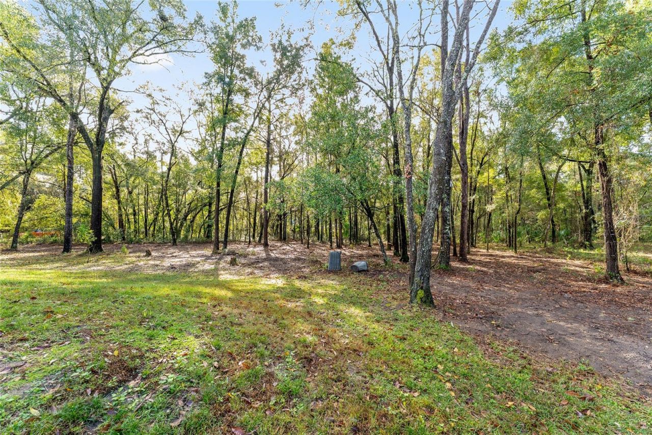 1520 W Redding St, Hernando, FL 34442 Photo