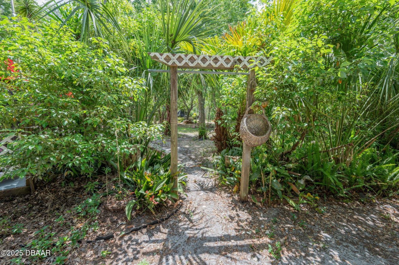 133 Seminole Trail, Georgetown, FL 32139 Photo