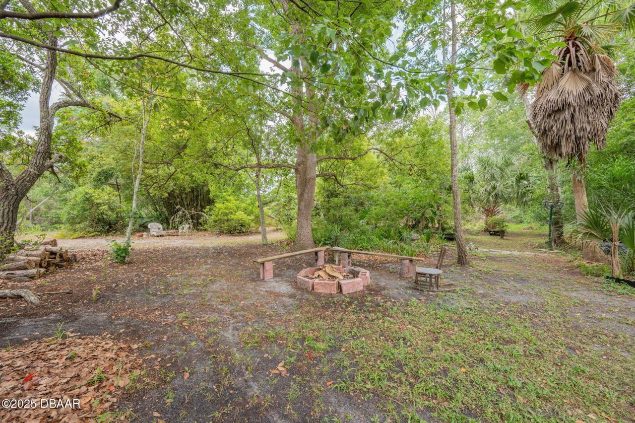 133 Seminole Trail, Georgetown, FL 32139 Photo
