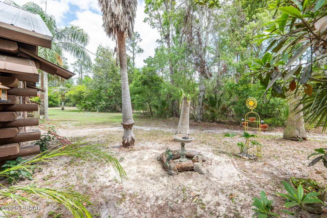 133 Seminole Trail, Georgetown, FL 32139 Photo