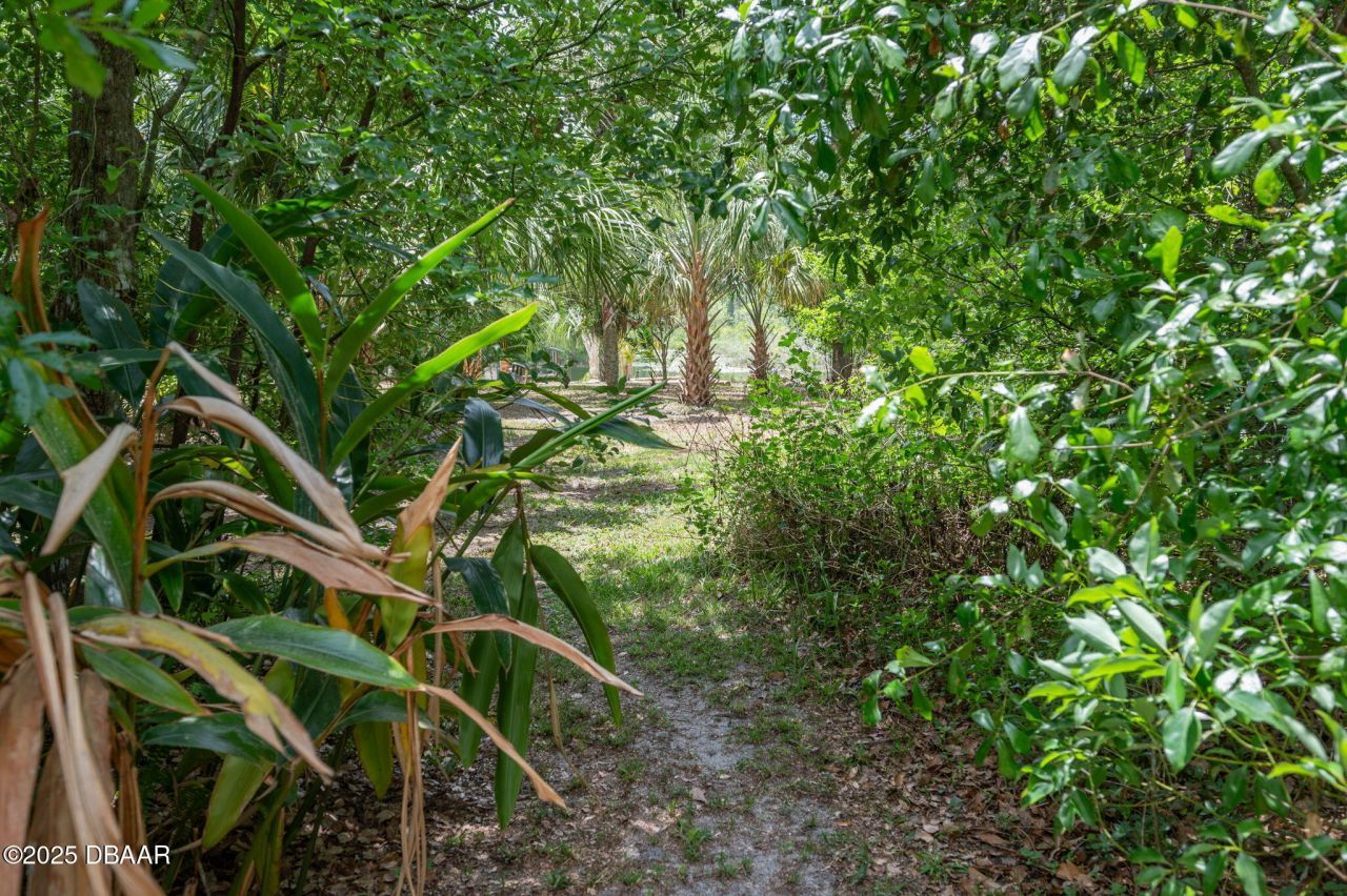 133 Seminole Trail, Georgetown, FL 32139 Photo