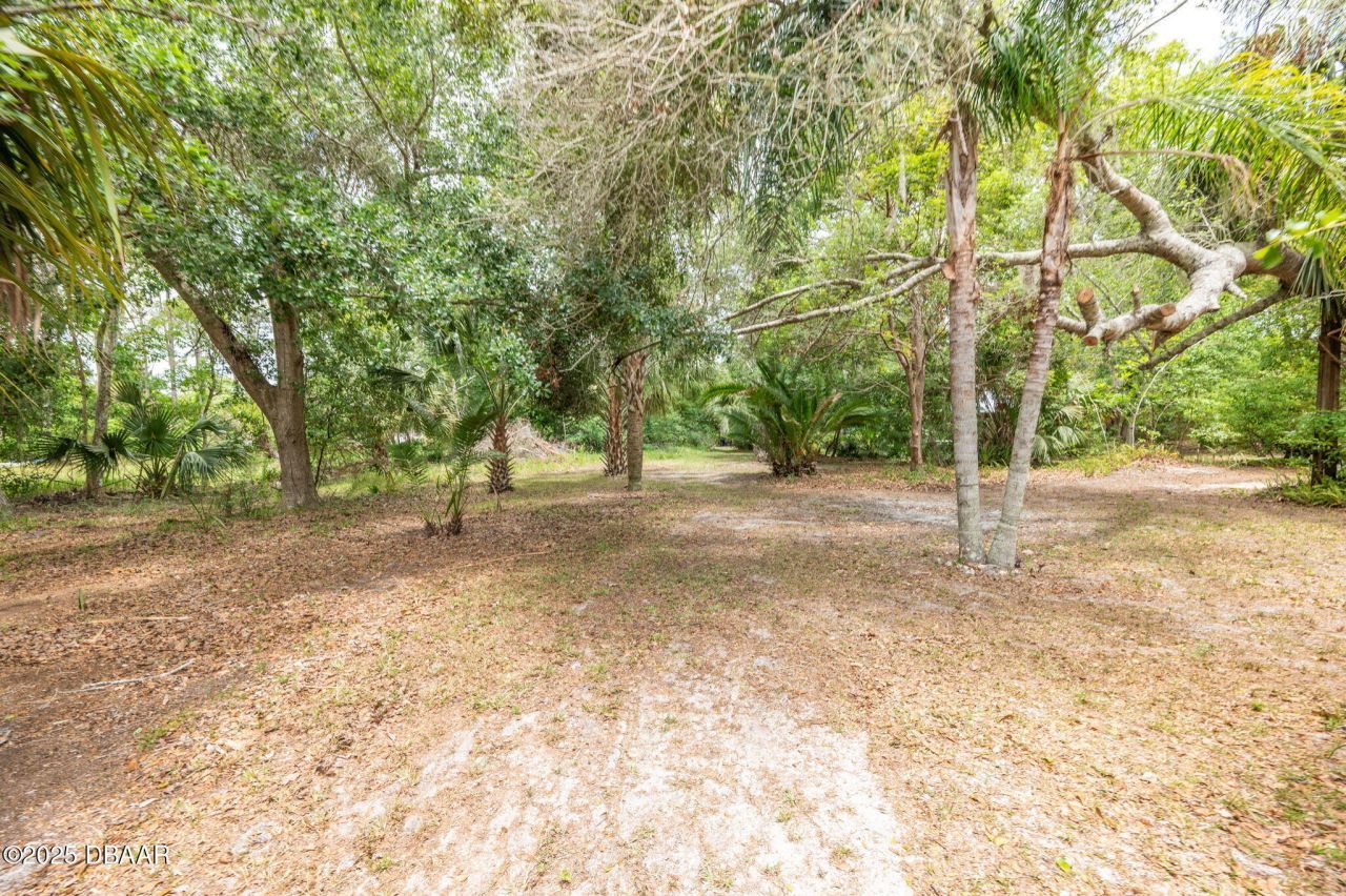 133 Seminole Trail, Georgetown, FL 32139 Photo