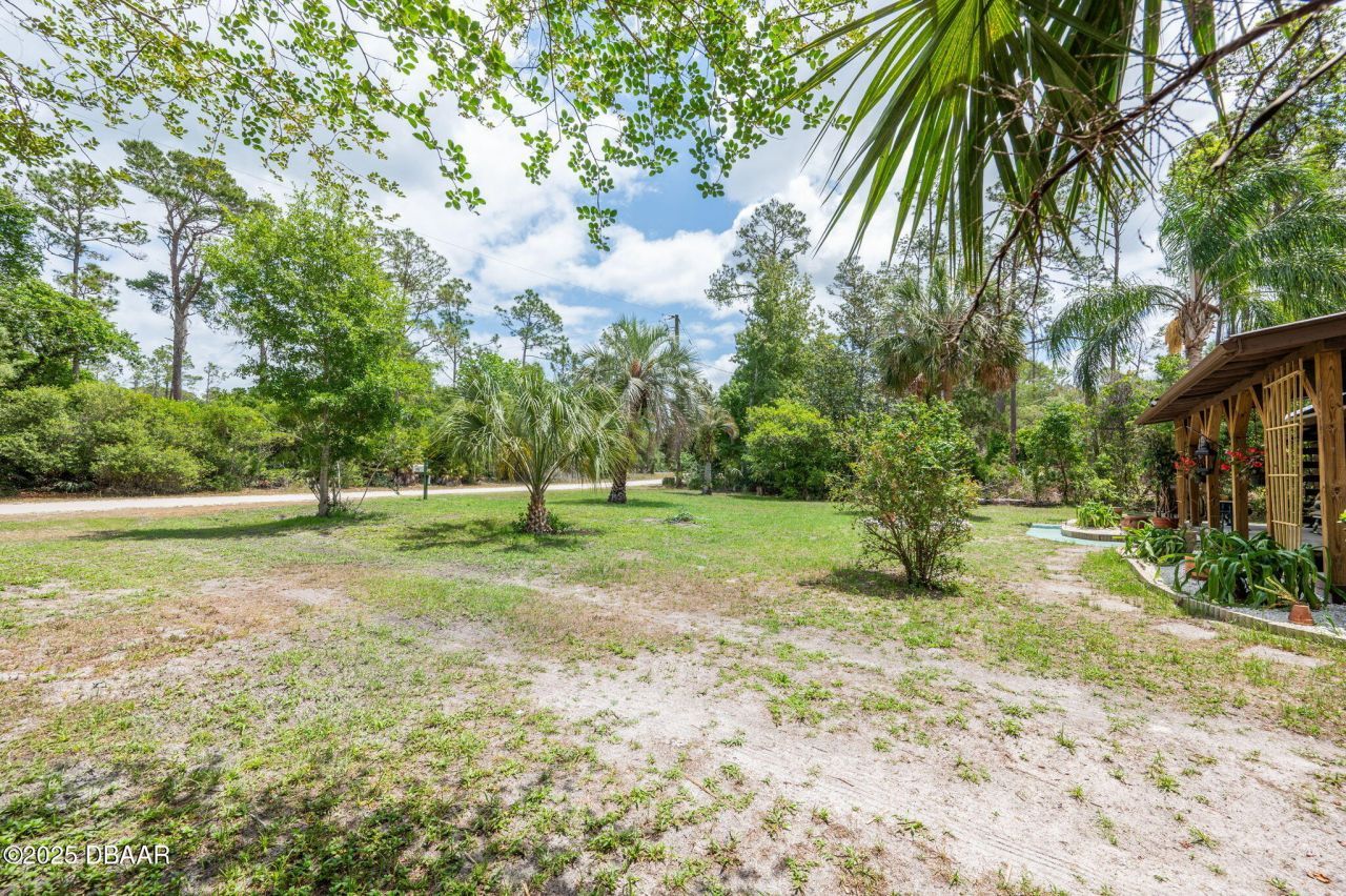 133 Seminole Trail, Georgetown, FL 32139 Photo