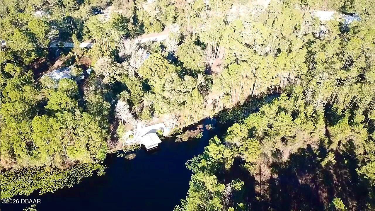 133 Seminole Trail, Georgetown, FL 32139 Photo