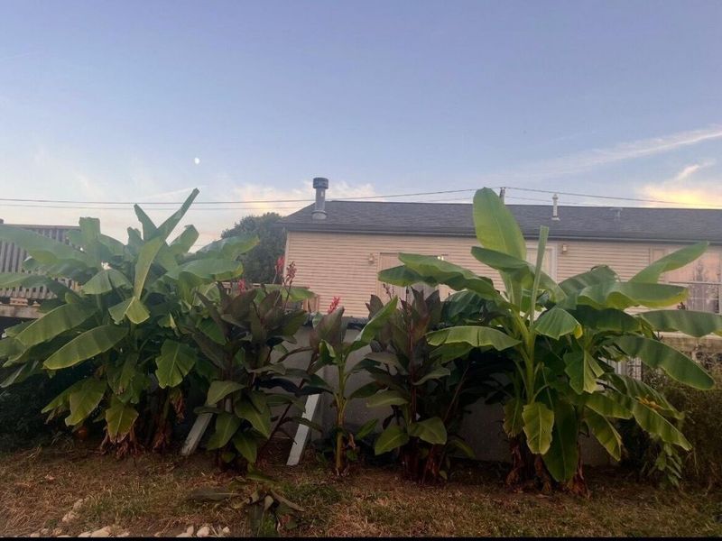 11560 mcclimansville Cemetery Road, Mount Sterling, OH 43143 Photo 17