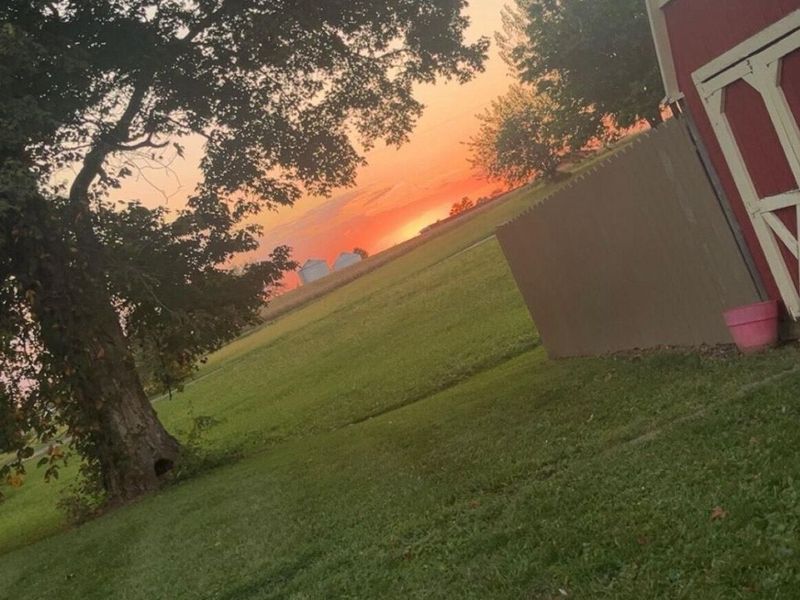 11560 mcclimansville Cemetery Road, Mount Sterling, OH 43143 Photo 19