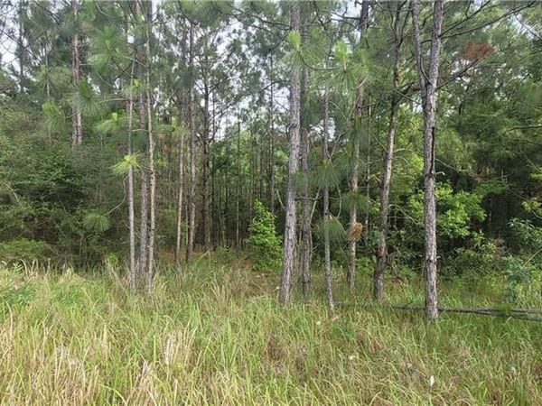 0 Cottage Hill Road, Mobile, AL 36695