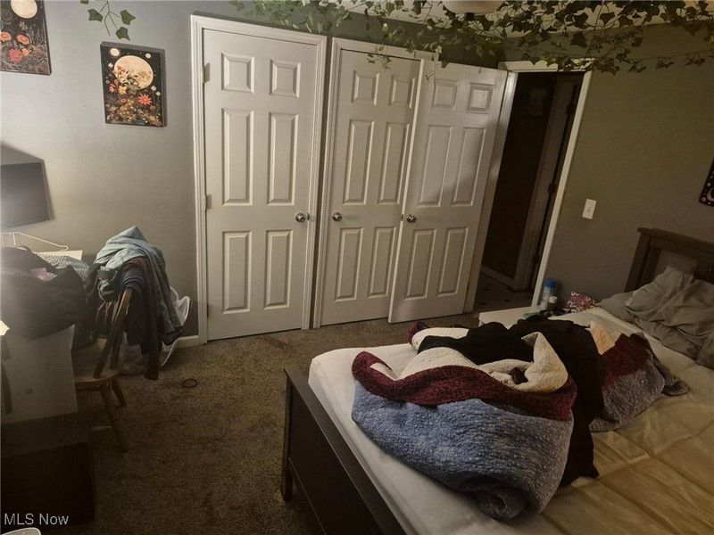 699 Irving Park Boulevard, Sheffield Village, OH 44054 Photo 13