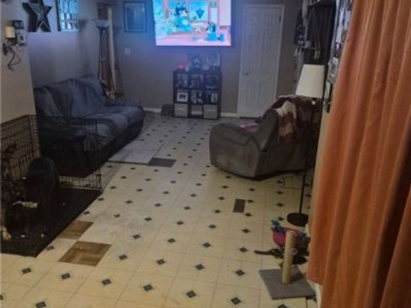 699 Irving Park Boulevard, Sheffield Village, OH 44054 Photo 17