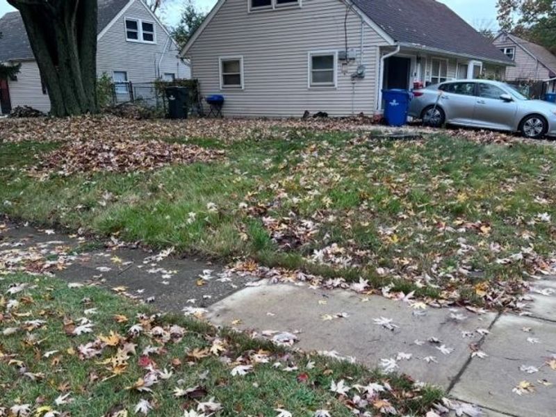 699 Irving Park Boulevard, Sheffield Village, OH 44054 Photo 2