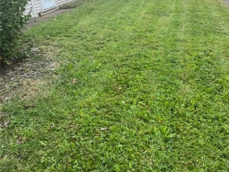 699 Irving Park Boulevard, Sheffield Village, OH 44054 Photo 4