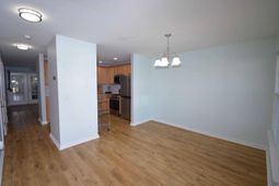 9142 Maple Grove Drive photo 4