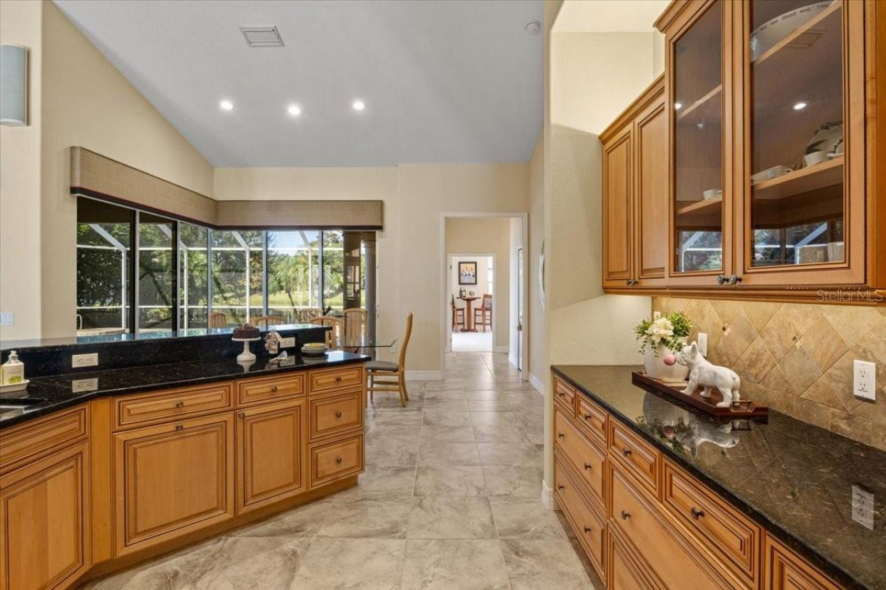 11443 Savannah Lakes Drive, Parrish, FL 34219 Photo