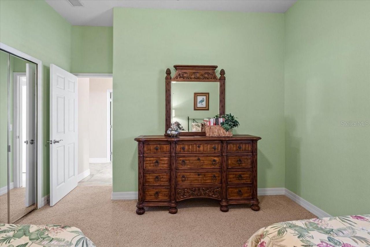 11443 Savannah Lakes Drive, Parrish, FL 34219 Photo