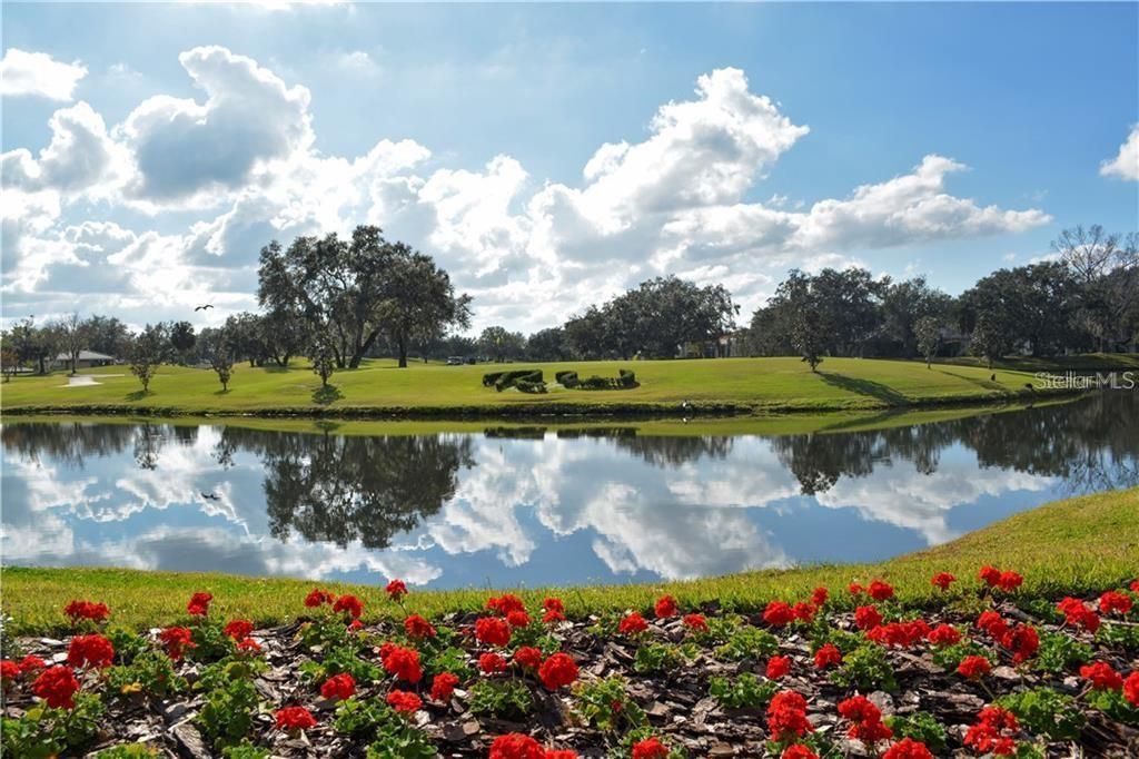 11443 Savannah Lakes Drive, Parrish, FL 34219 Photo