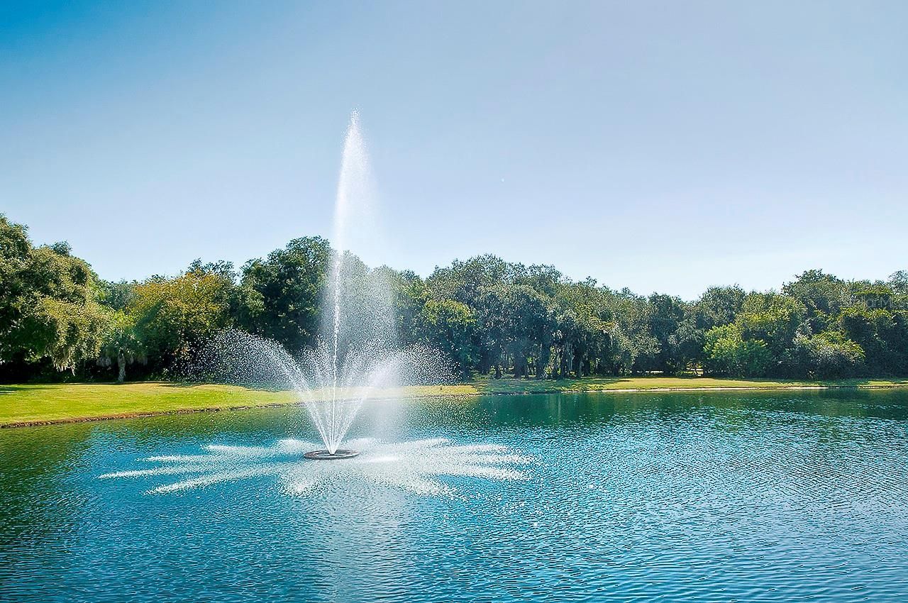 11443 Savannah Lakes Drive, Parrish, FL 34219 Photo