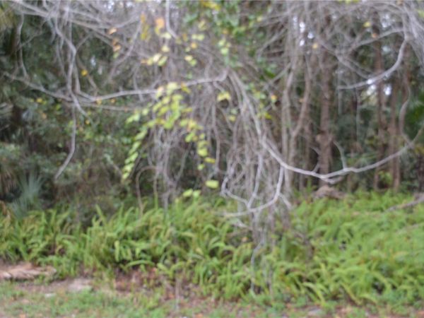 0 HESTER AVENUE AVENUE, SANFORD, FL 32773
