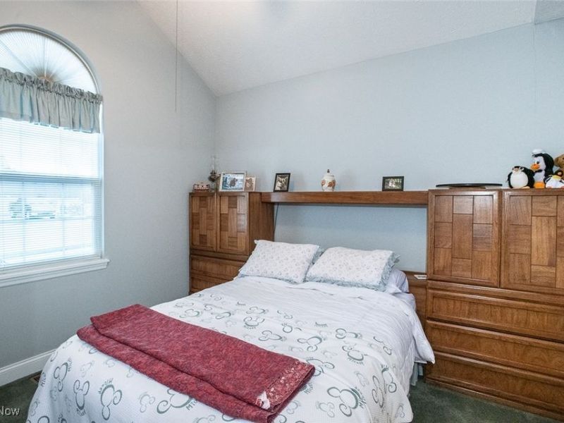 772 Shadow Creek Trail, Amherst, OH 44001 Photo 32